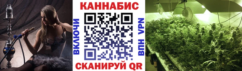 МАРИХУАНА SATIVA & INDICA Собинка